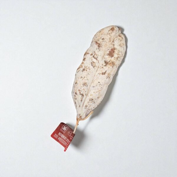 jambon